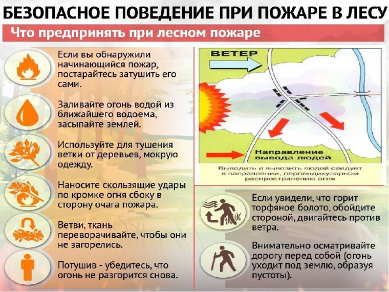 Как предотвратить лесной пожар.